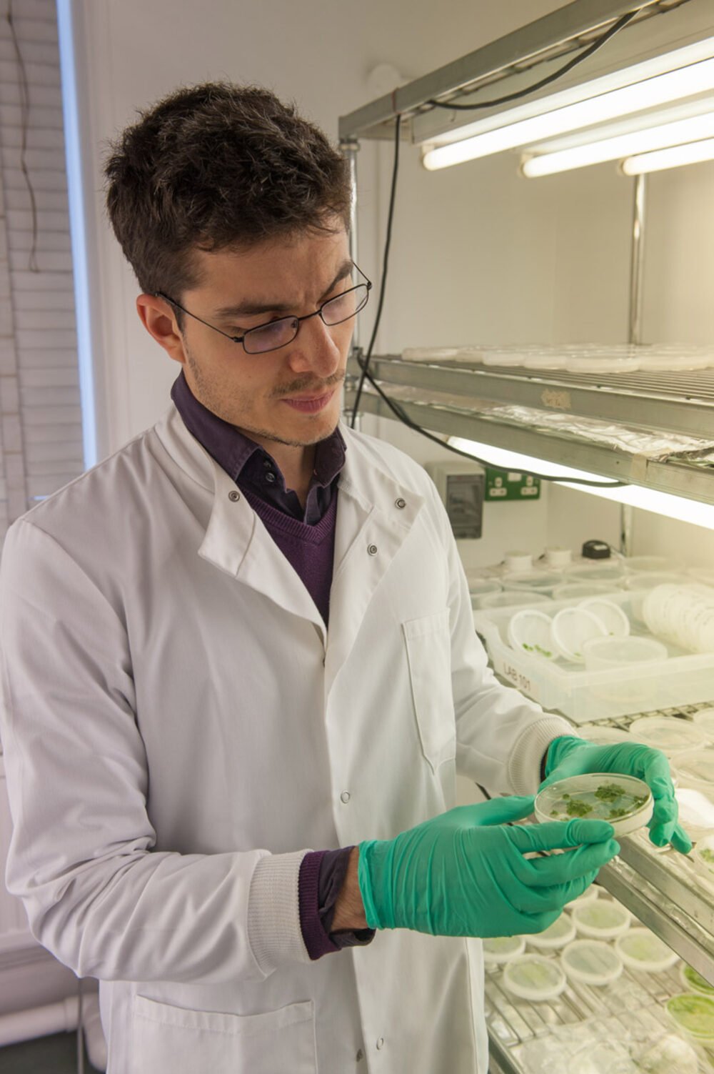University of Cambridge, Department of Plant Sciences — brand photography.