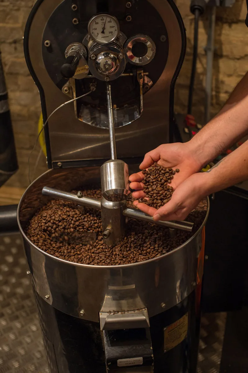 Hands holding freshly roasted coffee beans beside a Hot Numbers roasting machine