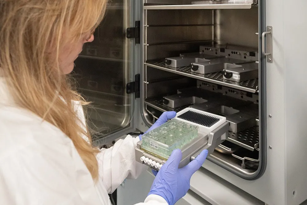 A scientist in blue gloves lifting a sample plate from an incubator
