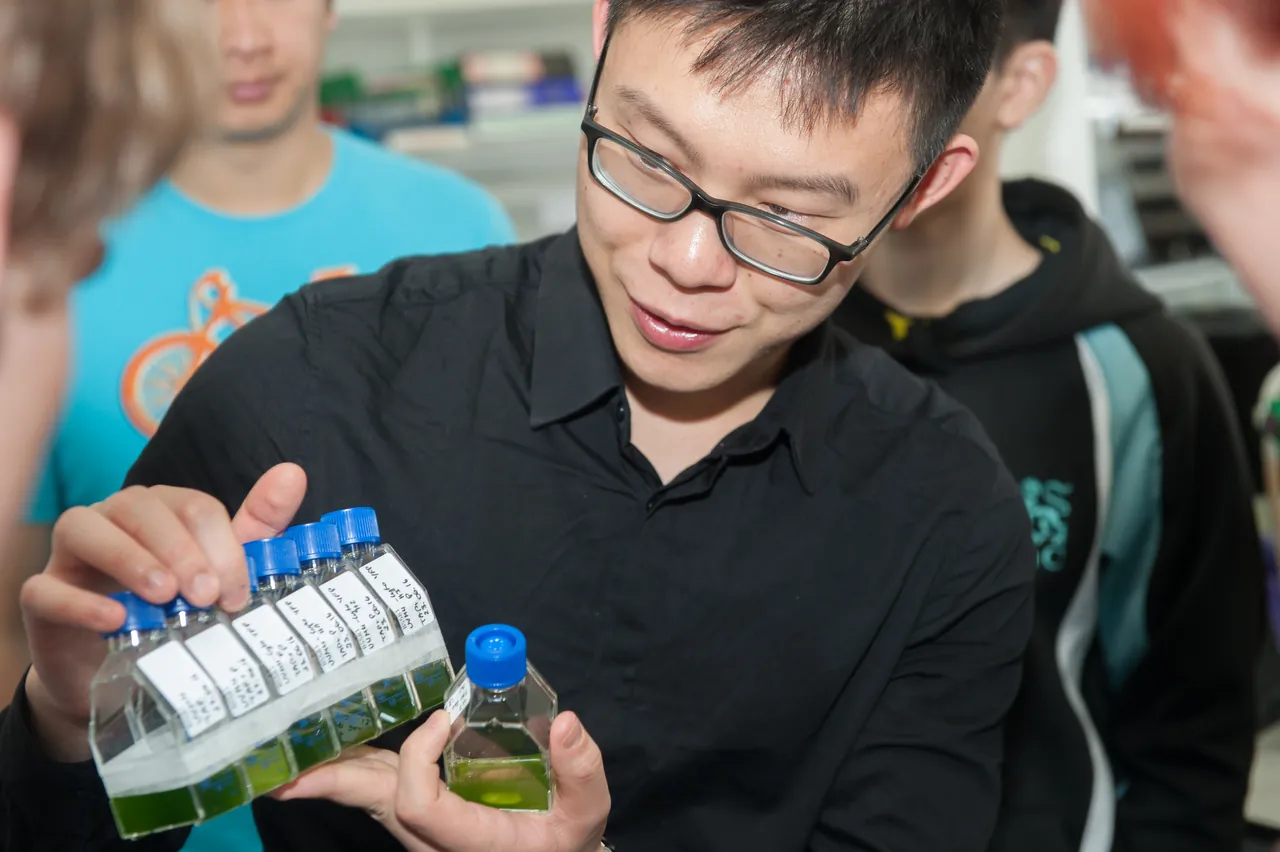A researcher holding up flasks of green culture to show his colleagues in a laboratory